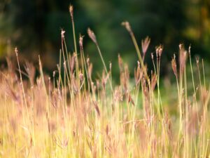 grupy wsparcia i rozwoju osobistego